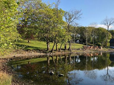 Trees and grassland by a calm body of water reflecting the landscape at High Cunsey Farm in Far Sawrey