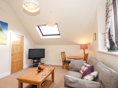 A living room with a sofa table and television under a skylight at Squirrel Bank in Ambleside