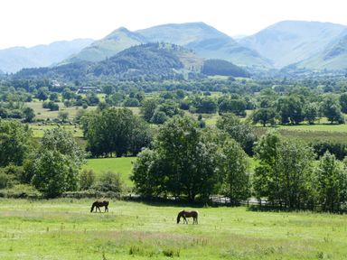 A grassy field with two horses grazing and trees with hills in the background at Dancing Beck Cottage in Millbeck