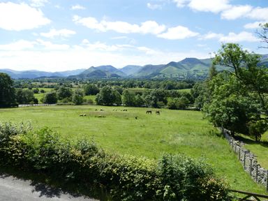 A green field with grazing horses and sheep with hills and trees in the background at Dancing Beck Cottage in Millbeck