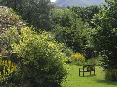 A garden with a wooden bench surrounded by trees and bushes at Thomas Cottage in Hartsop