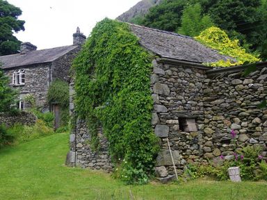 A stone cottage covered with green ivy and surrounded by trees and grass at Thomas Cottage in Hartsop