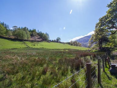A grassy field with a wire fence and trees under a clear sky at Robins Nest in Coniston