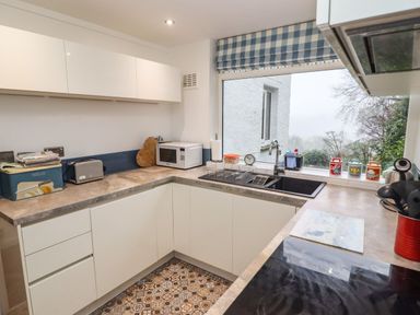 A kitchen with white cabinets toaster microwave and sink under a window with a blue checkered blind at Helm Crag in Grasmere