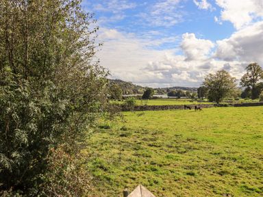 A green field with cows and trees under a partly cloudy sky at How Beck in Hawkshead