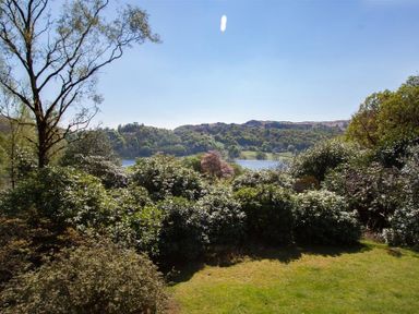 A garden with trees and bushes overlooking a lake and hills at Silver Howe in Grasmere