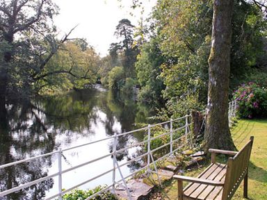 A wooden bench next to a tree by a metal fence overlooking a river surrounded by trees at The Hayloft in Ambleside