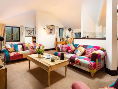 A living room with patchwork sofas wooden coffee table plants and animal paintings at Falls View Cottage in Ambleside