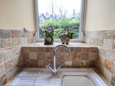 A kitchen sink with a chrome faucet and dish rack in front of a window with green owl and sheep decorations at Hideaway Cottage in Ambleside