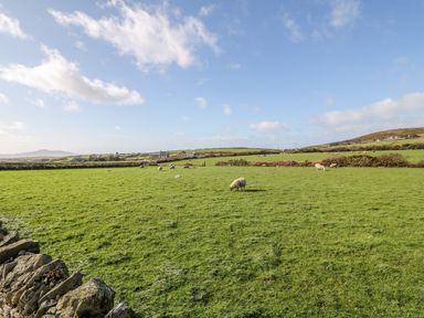 A green field with sheep grazing and stone walls in a rural area at Bryn Mor in Church Bay