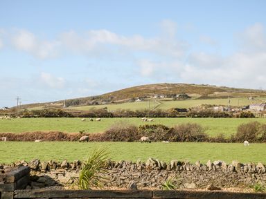 A rural landscape with sheep grazing on green fields and houses in the background at Bryn Mor in Church Bay