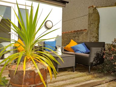 An outdoor patio area with a large potted plant a small table and two wicker chairs with colorful cushions at Bryn Mor in Church Bay