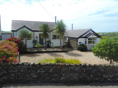 A single-story house with a gravel driveway and a stone wall in front with palm trees and flowering bushes at Bryn Mor in Church Bay