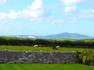 A grassy field with sheep behind a stone wall and a view of the sea and hills at Bryn Mor in Church Bay