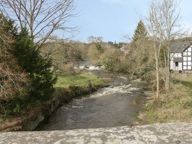 A river flowing through a landscape with trees and houses at The Rhiw in Llanfair Caereinion
