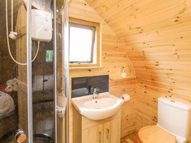A bathroom with a shower, sink, toilet, and wooden paneling at Oak View in Llandovery