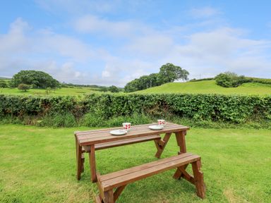 A wooden picnic table with two cups and plates on a lawn with green hills and trees in the background at Oak View in Llandovery