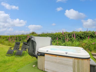 An outdoor area with a hot tub and two lounge chairs on grass near a hedge with pink flowers at Oak View in Llandovery
