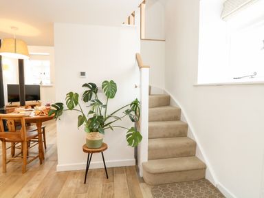 A staircase with beige carpet next to a potted plant on a wooden stool in a room with wooden floor and dining table at Wensum Spring in Horningtoft near Fakenham