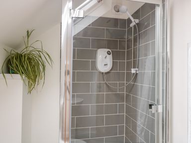 A shower with gray tiled walls and a handheld showerhead next to a shelf with a potted plant at Ostlers in Mitcheldean