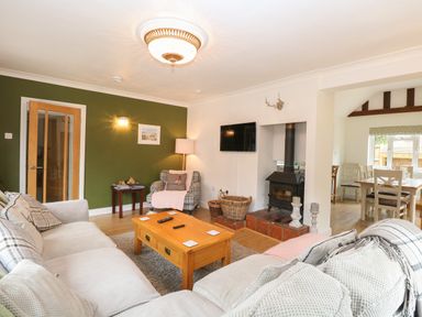 A living room with a wood-burning stove a television a wooden coffee table and a sofa at The Lodge in Wroxham