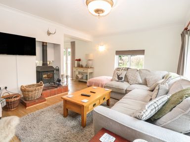 A living room with a gray sofa a wooden coffee table a wood burning stove and a wall mounted tv at The Lodge in Wroxham