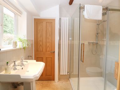 A bathroom with a sink, shower enclosure, wooden door, radiator, and window with plants at The Lodge in Wroxham