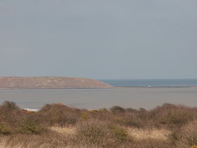 A coastal scene with low bushes in the foreground a body of water and a headland in the distance at Driftwood in Filey