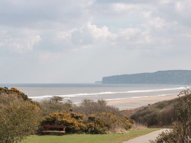 A coastal view with a bench, bushes, a paved path, sandy beach and cliffs in the distance at Driftwood Filey