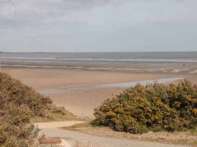 A sandy beach with patches of water and shrubs in the foreground at Driftwood in Filey
