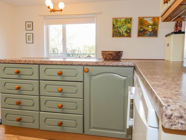 A kitchen with green cabinets and wood handles a countertop a window and wall paintings at Goldcrest in Newport Pembrokeshire