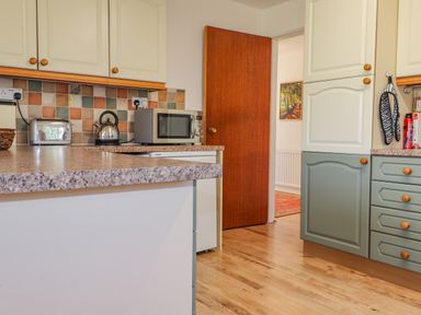 A kitchen with beige and green cabinets a microwave kettle toaster and wooden door at Goldcrest in Newport Pembrokeshire