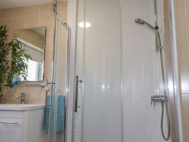 A bathroom with a glass-door shower, a sink with a faucet, a mirror, a blue towel, and a plant at Goldcrest in Newport Pembrokeshire
