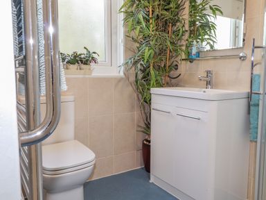 A bathroom with a white toilet a white sink cabinet a large green plant and a window at Goldcrest in Newport Pembrokeshire