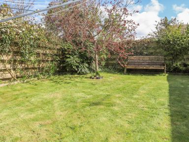A garden with a tree a wooden bench grass and a clothesline at Goldcrest in Newport Pembrokeshire