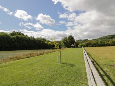 A grassy field with small trees and a wooden fence near a body of water at The Croft in Leigh Sinton