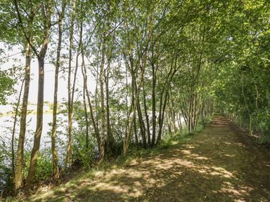 A dirt path lined with trees next to a body of water at The Croft in Leigh Sinton