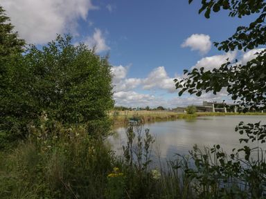 A lake with trees and plants around the shore and a building in the distance at The Croft in Leigh Sinton