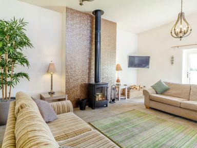 A living room with two sofas a wood burner and a television at The Croft in Leigh Sinton