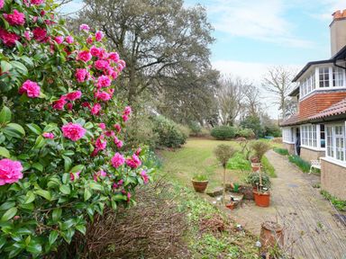A garden with flowers and trees at Beckhythe Cottage Overstrand