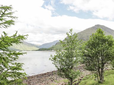 A calm lake with trees on the shore and mountains in the background at Silver Birch Lodge in Ratagan Glenshiel near Dornie