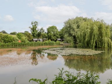 A pond with lily pads and cabins at Acorn Lodge At Bridge Lake Farm & Fishery Chacombe