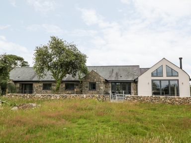 A stone and white house with a tree in front and a grassy field at Pen Y Cefn in Pen Y Cefn