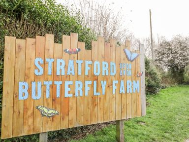 A wooden sign with blue letters reading Stratford upon Avon Butterfly Farm outdoors with grass and trees