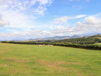 A green field with sheep and hills in the background at The Stables At Cae Gwyn in Ruthin