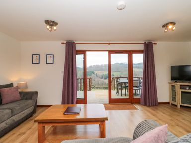 A living room with grey sofas a wooden coffee table a television and sliding glass doors leading to an outdoor deck at The Willow Lodge near Lyme Regis
