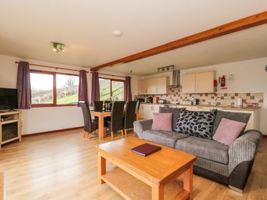 An open plan living room with a gray sofa and a wooden coffee table a dining table with six chairs and a kitchen with cream cabinets at The Willow Lodge near Lyme Regis