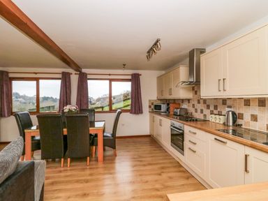 A kitchen and dining area with wooden floor cabinets and a dining table with chairs at The Willow Lodge near Lyme Regis