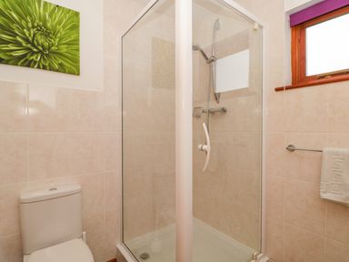 A bathroom with a shower cubicle toilet towel rail and a window at The Willow Lodge near Lyme Regis