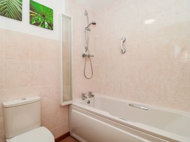 A bathroom with a toilet bathtub shower and wall artwork at The Willow Lodge near Lyme Regis